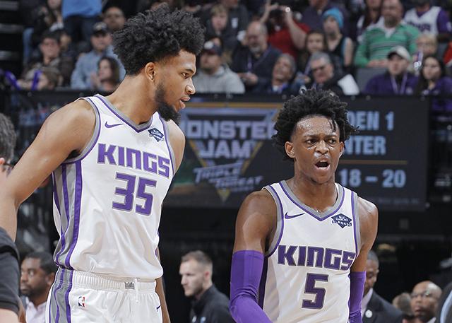 紫百合模版 紫百合模版