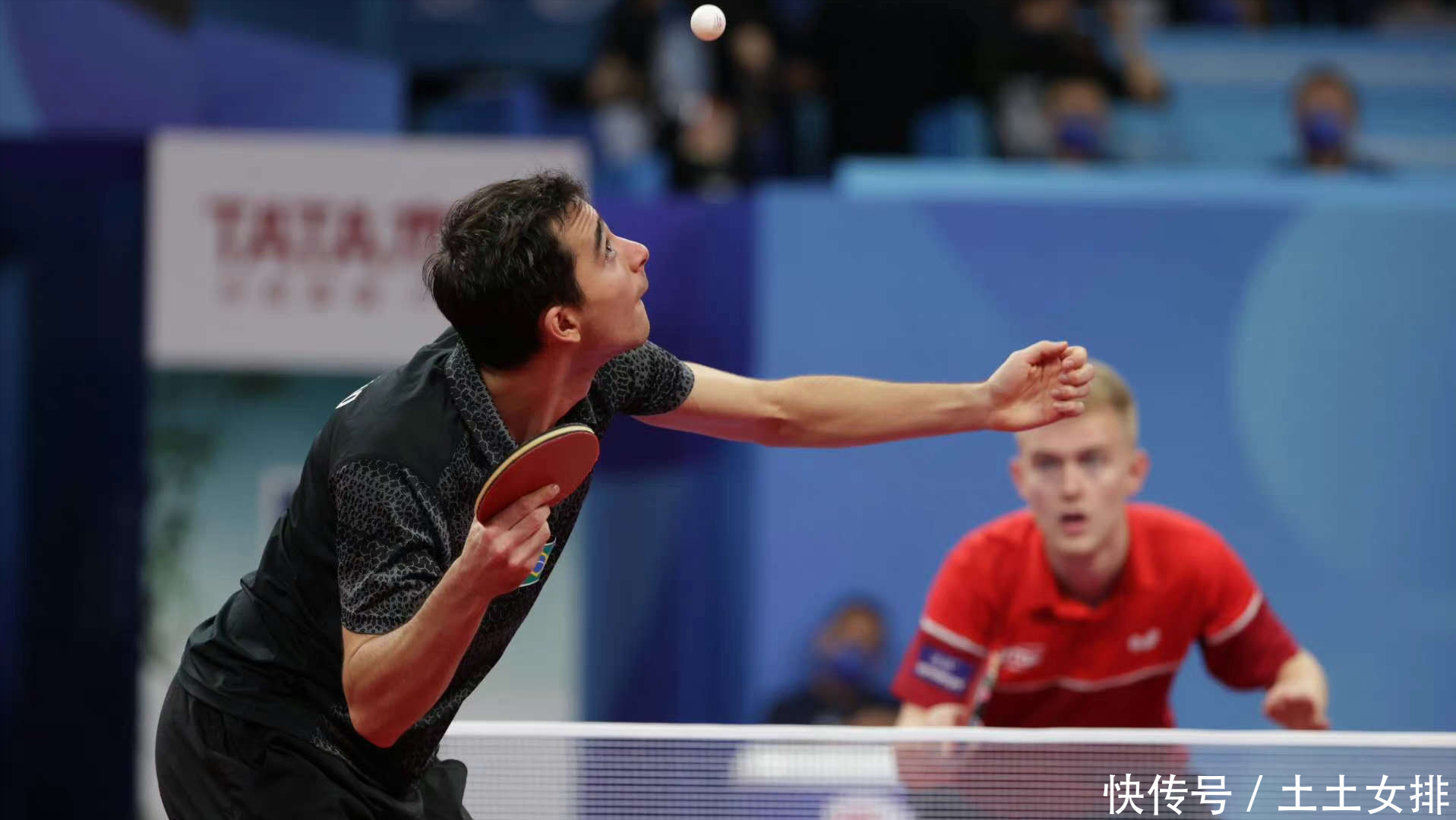 队长团与教 队长团与教